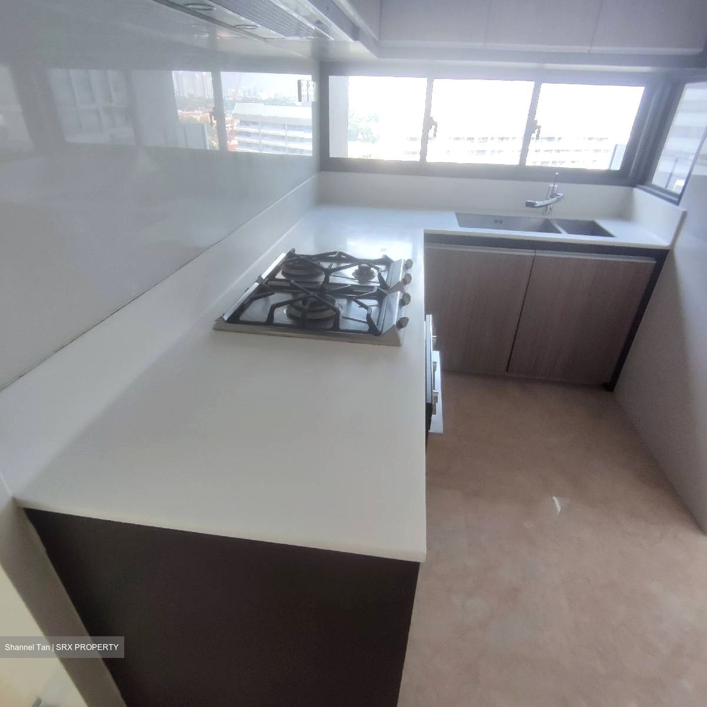 The Trizon (D10), Condominium #602917821